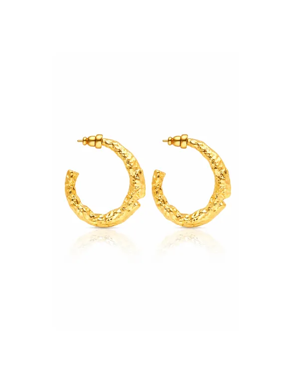 Dasha_Hoops