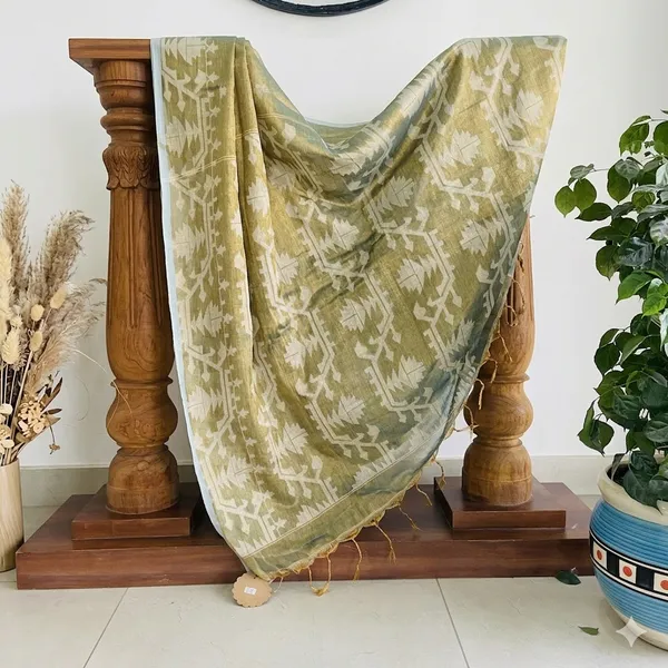 Dark_Green_Elizabeth_Verdant_Tissue_Silk_Saree_For_Women