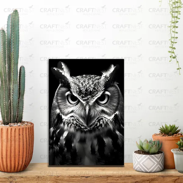 Craftnest_Reflections_Aesthetic_Look_Wall_Decor_Frame_Engineered_Wood_Canvas_Print_Easy_To_Clean_Frame_Ready_To_Hang_Painting_For_Home_Living_Room_Gaming_Room_Without_Front_Mirror
