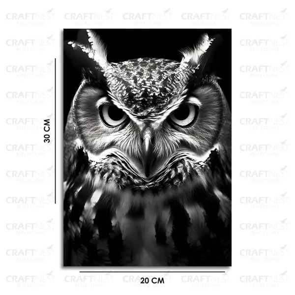 Craftnest_Reflections_Aesthetic_Look_Wall_Decor_Frame_Engineered_Wood_Canvas_Print_Easy_To_Clean_Frame_Ready_To_Hang_Painting_For_Home_Living_Room_Gaming_Room_Without_Front_Mirror