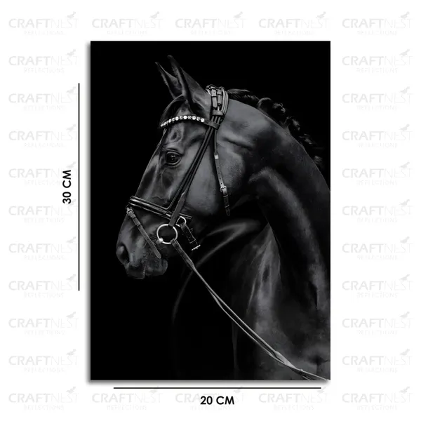 Craftnest_Reflections_Aesthetic_Look_Wall_Decor_Frame_Engineered_Wood_Canvas_Print_Easy_To_Clean_Frame_Ready_To_Hang_Painting_For_Home_Living_Room_Gaming_Room_Without_Front_Mirror