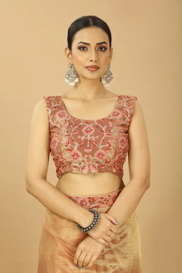 Fancy_Net_Saree_With_Embroidery_Work_Lace_And_Embroidery_Blouse