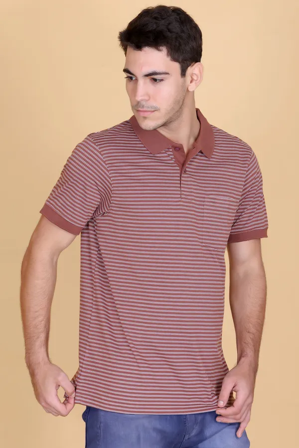 Men_Brown_Striped_Polo_TShirt_with_Collar