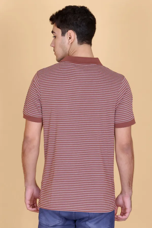 Men_Brown_Striped_Polo_TShirt_with_Collar