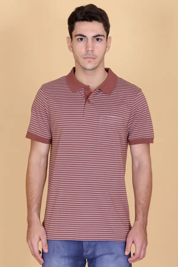 Men_Brown_Striped_Polo_TShirt_with_Collar