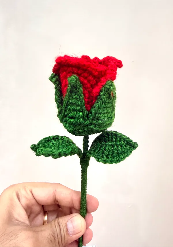 The_Paizley_Handmade_Crochet_Red_Rose_Artificial_Flower_for_Home_Decoration_|_Hand-Crocheted_Rose:_A_beautifully_crafted_reusable_flower_with_uniquely_handmade,_no_watering_or_daily_maintenance.