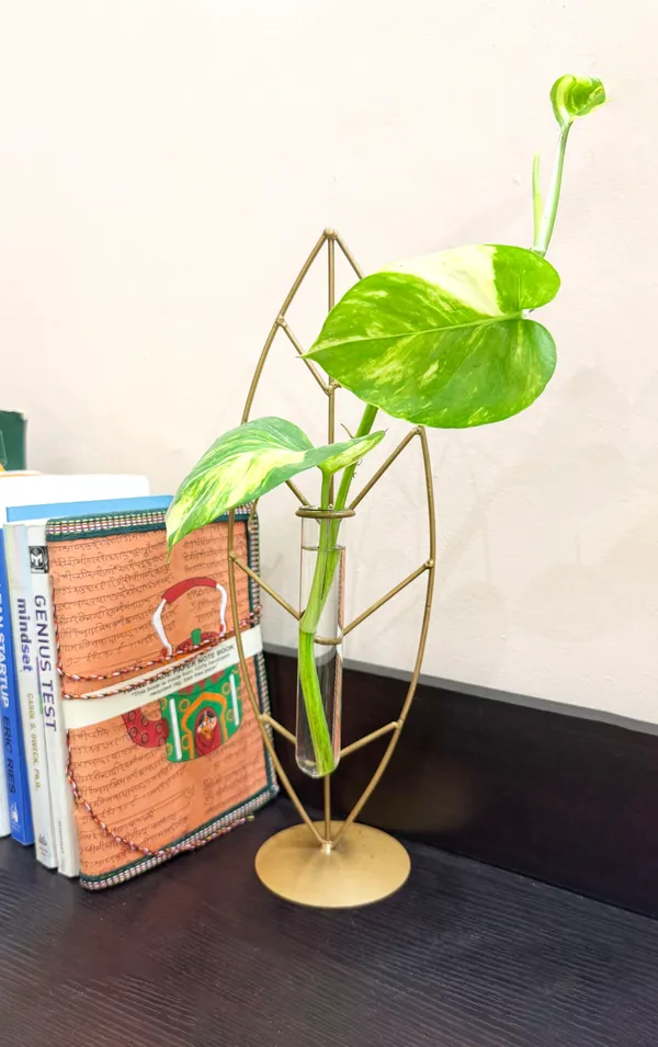 The_Paizley_Leaf_Shaped_Tabletop_with_Glass_Tube_Vase,_Gold,_14.5_Inch