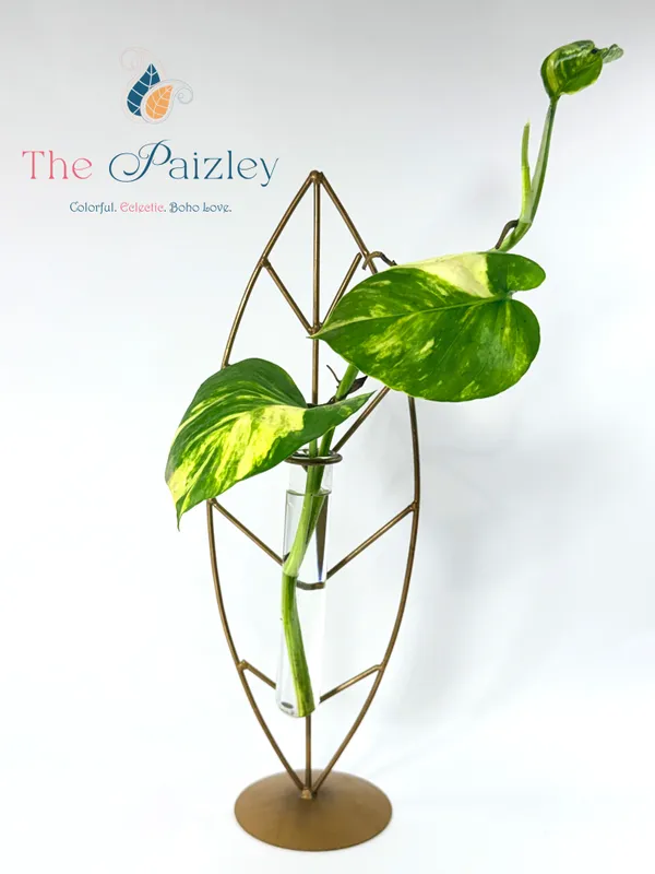 The_Paizley_Leaf_Shaped_Tabletop_with_Glass_Tube_Vase,_Gold,_14.5_Inch