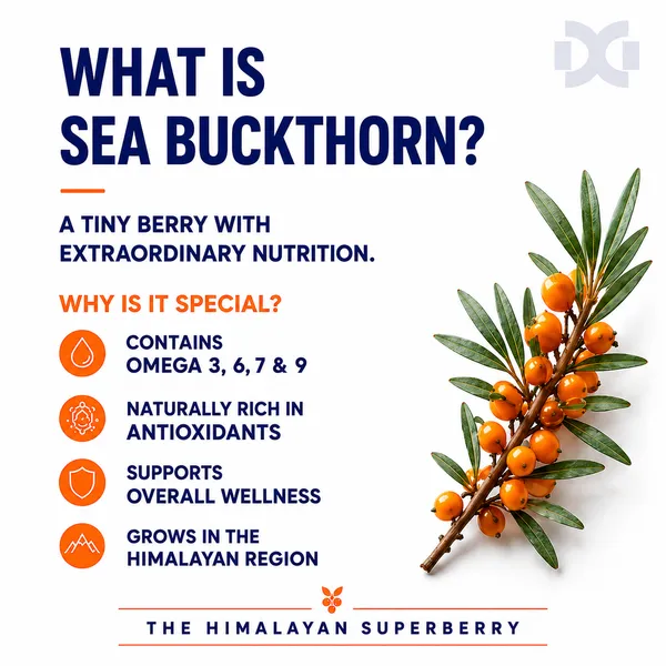 Dr_Goel's_100%_Natural_Himalayan_Seabuckthorn_Natural_Powder_100_GM-_For_Immunity_&_Skin_Health