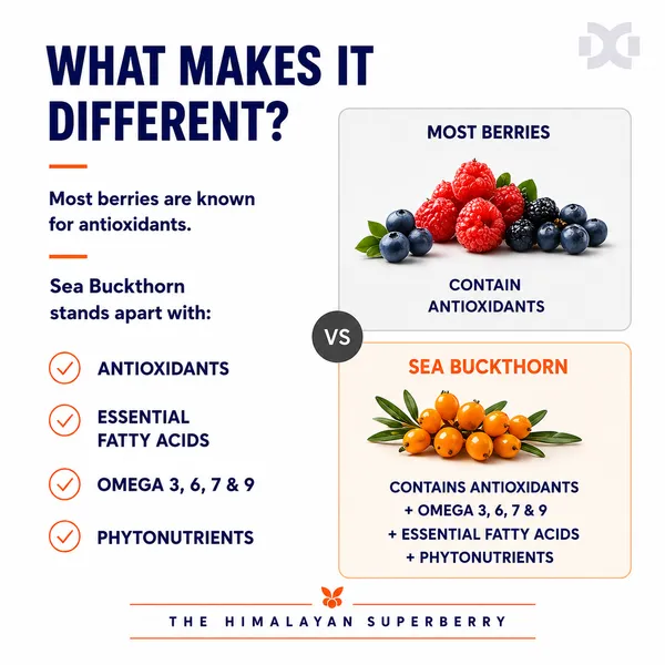 Dr_Goel's_100%_Natural_Himalayan_Seabuckthorn_Natural_Powder_100_GM-_For_Immunity_&_Skin_Health
