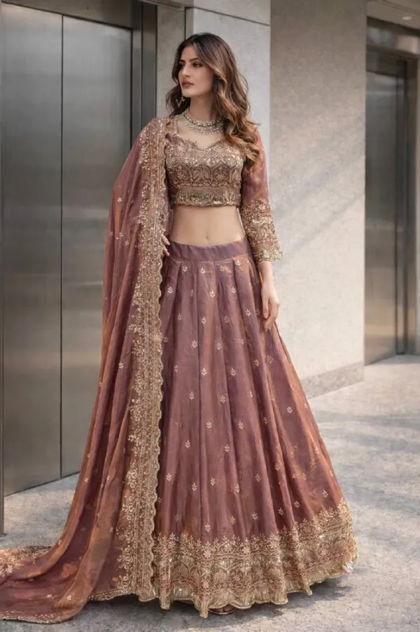 Heavy_Two_Tone_Fandy_Silk-Choli