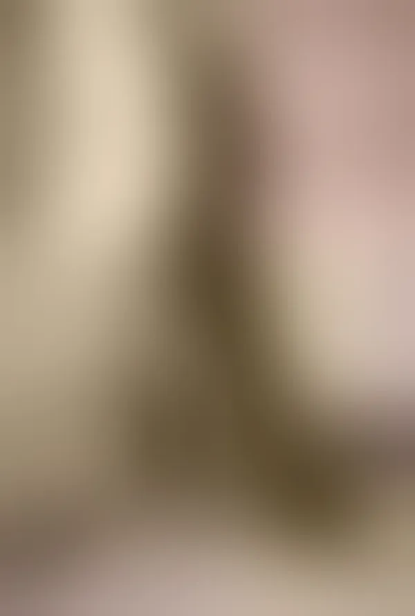Heavy_Fandy_Silk