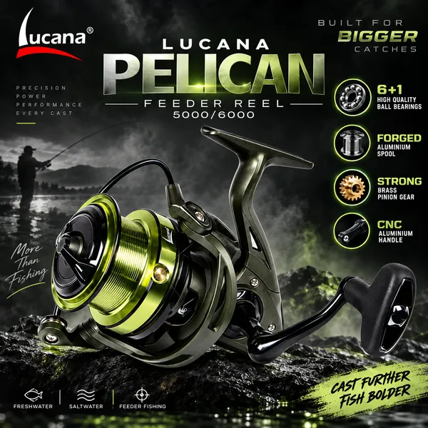 Lucana_Pelican_5000_Spinning_Feeder_Reel_|_8kg_Drag_|_6+1_Bearings