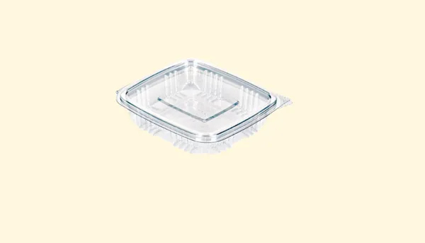 Clear_Plastic_Food_Container_With_Transparent_Lid_Disposable_Rectangular_Storage_Box__(100_Pieces)