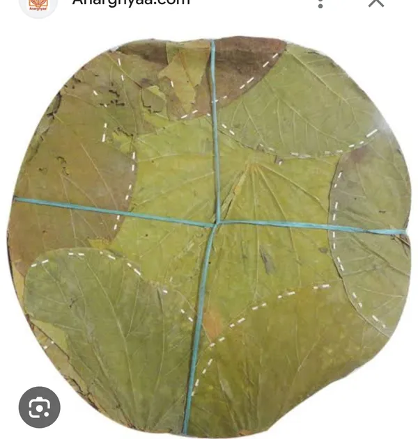 Dried_Banana_Leaves_Pack_Natural,_Eco_Friendly_Serving_And_Craft_Material