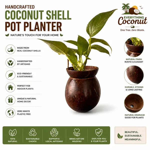 Coconut_Shell_Handmade_Planter