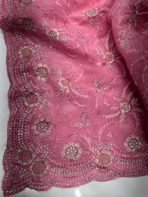 Pink_Embroidered_Saree_With_Sequin_And_Beadwork_Border