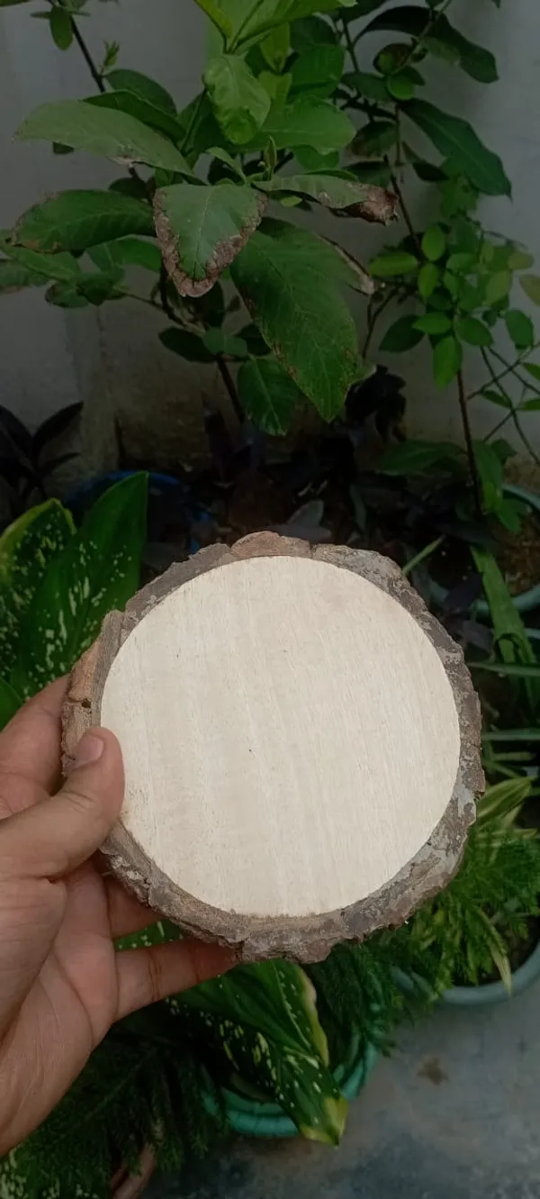Natural_Wooden_Blank_Slice_With_Bark_Edge_-_Set_Of_5_Round_Wooden_Planks