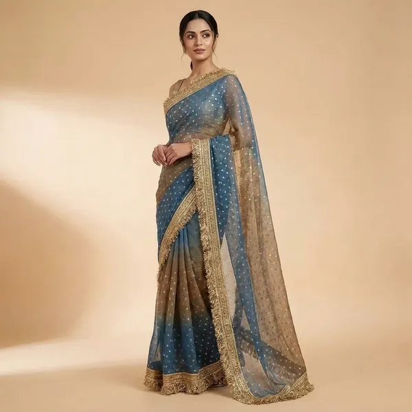 Grey_Net_Saree_With_Gold_Embroidered_Border_And_Polka_Dots
