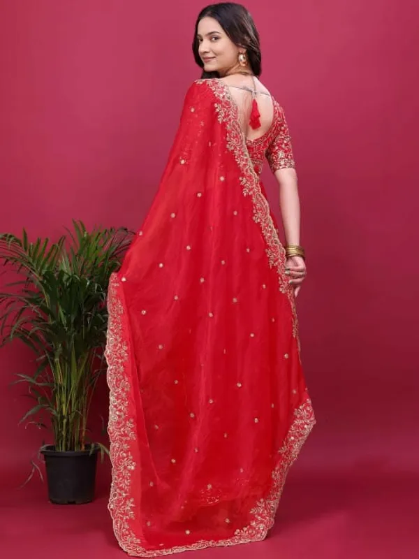 Red_Embellished_Saree_With_Heavy_Border_And_Embroidered_Blouse