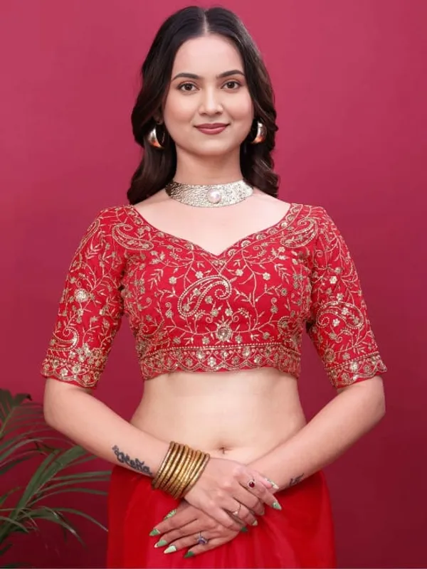 Red_Embellished_Saree_With_Heavy_Border_And_Embroidered_Blouse