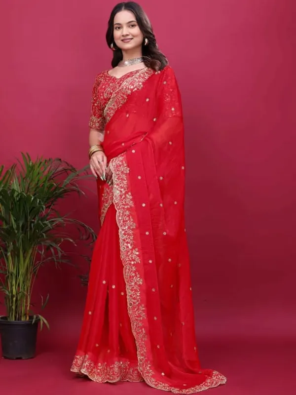 Red_Embellished_Saree_With_Heavy_Border_And_Embroidered_Blouse