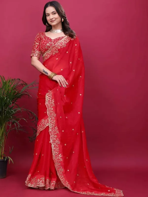 Red_Embellished_Saree_With_Heavy_Border_And_Embroidered_Blouse