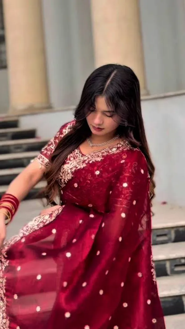 Red_Embellished_Saree_With_Golden_Embroidery_And_Sheer_Sleeves