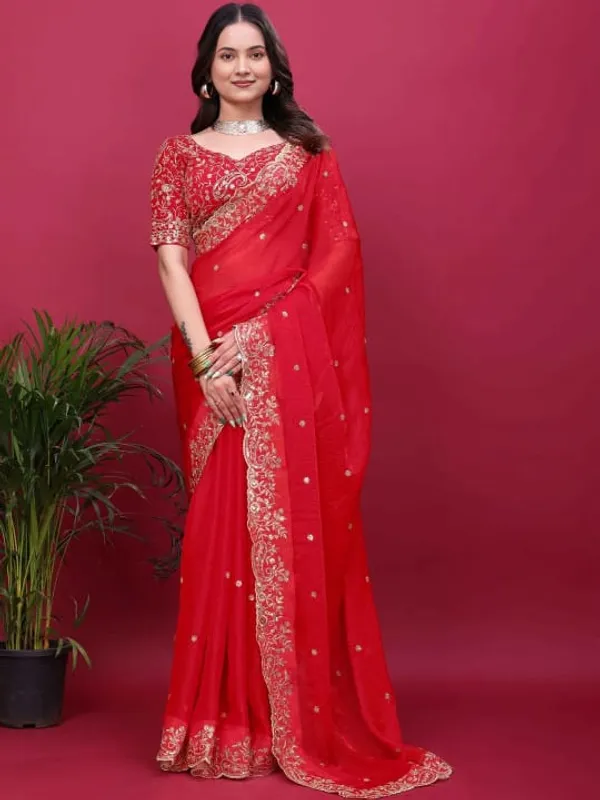 Red_Embellished_Saree_With_Heavy_Border_And_Embroidered_Blouse