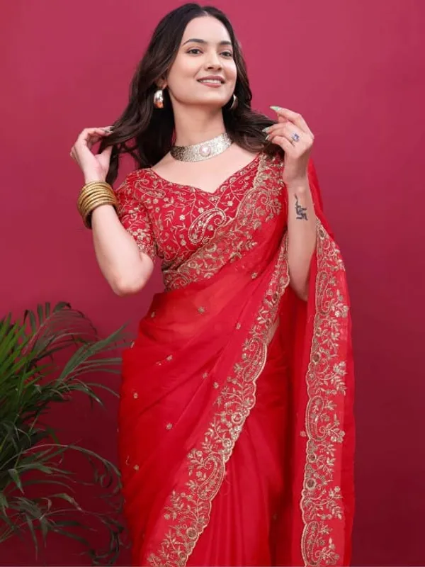 Red_Embellished_Saree_With_Heavy_Border_And_Embroidered_Blouse