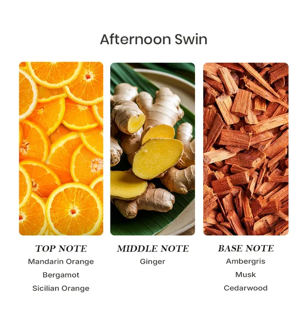 Parfumori_Afternoon_Swim_Inspired_Perfume_50Ml_|_Fresh_Citrus_Aquatic_Marine_Splash_|_Long_Lasting_Eau_De_Parfum