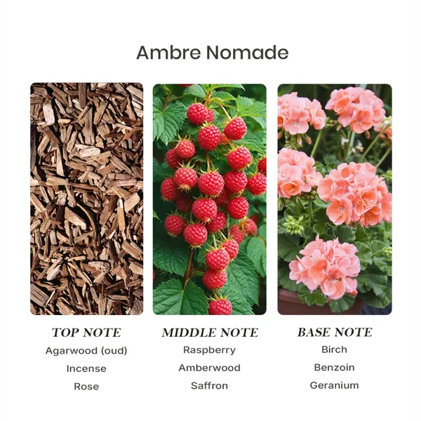 Parfumori_Ambre_Nomad_Inspired_Perfume_50Ml_|_Saffron_Oud_Rose_|_Long_Lasting_Eau_De_Parfum