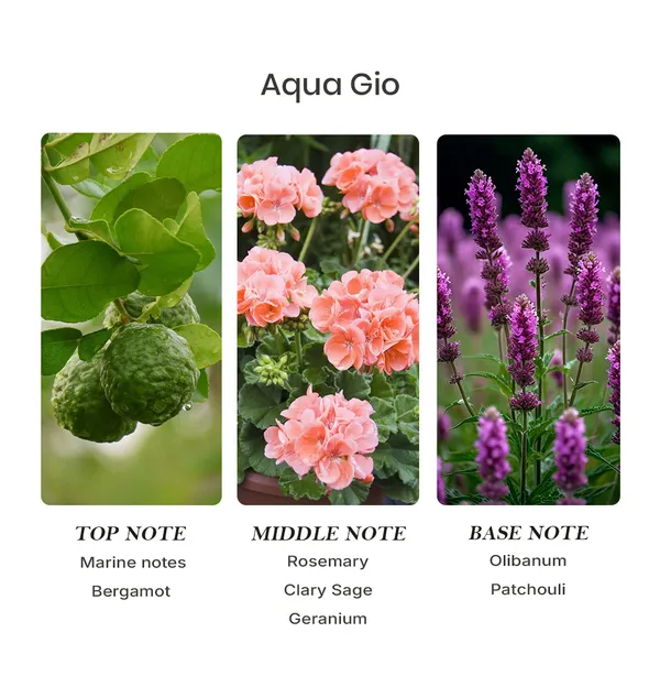 Parfumori_Aqua_Geo_Inspired_Perfume_50Ml_|_Fresh_Aquatic_Citrus_Marine_|_Long_Lasting_Eau_De_Parfum