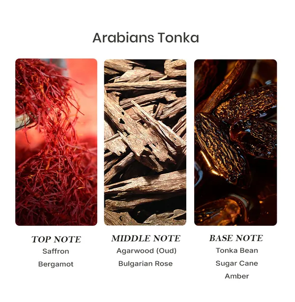 Parfumori_Arabian_Tonka_Inspired_Perfume_50Ml_|_Sweet_Amber_Vanilla_Tonka_|_Long_Lasting_Eau_De_Parfum
