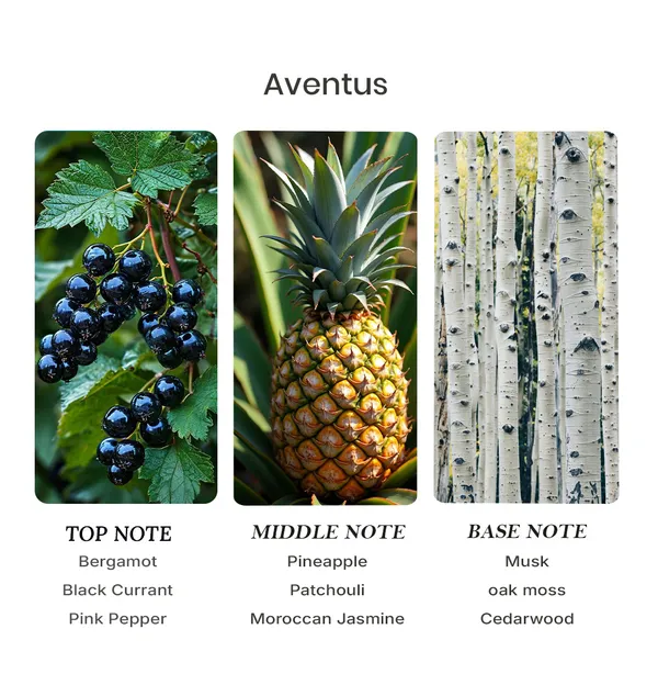 Parfumori_Aventus_Inspired_Perfume_50Ml_|_Fruity_Woody_Smoky_Fresh_|_Long_Lasting_Eau_De_Parfum