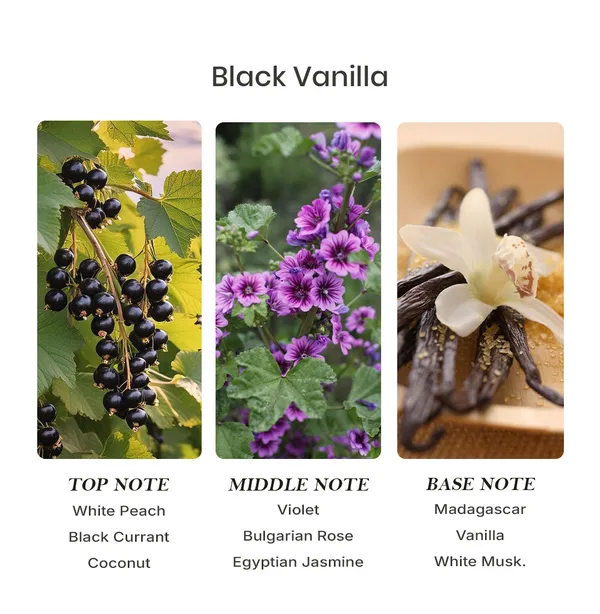Parfumori_Black_Vanilla_Inspired_Perfume_50Ml_|_Warm_Sweet_Vanilla_Spicy_Amber_Woody_|_Long_Lasting_Eau_De_Parfum