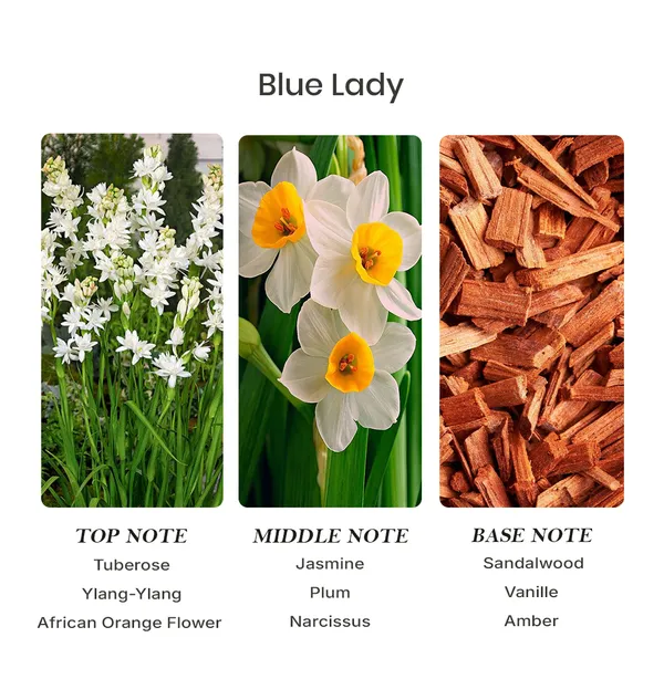 Parfumori_Bleu_Lady_Inspired_Perfume_50Ml_|_Fresh_Floral_Citrus_Musky_|_Long_Lasting_Eau_De_Parfum
