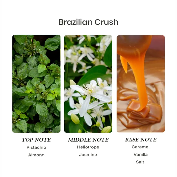 Parfumori_Brazilian_Crush_Inspired_Perfume_50Ml_|_Sweet_Tropical_Vanilla_Coconut_Gourmand_|_Long_Lasting_Eau_De_Parfum