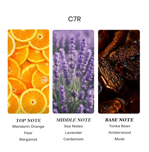 Parfumori_C7R_Inspired_Perfume_50Ml_|_Fresh_Citrus_Aromatic_Woody_Sports_|_Long_Lasting_Eau_De_Parfum