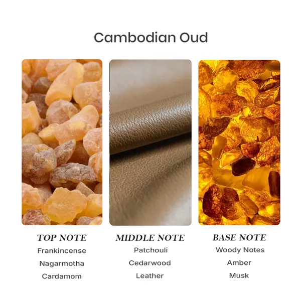 Parfumori_Cambodian_Oud_Inspired_Perfume_50Ml_|_Deep_Dark_Oud_Woody_Smoky_Oriental_|_Long_Lasting_Eau_De_Parfum