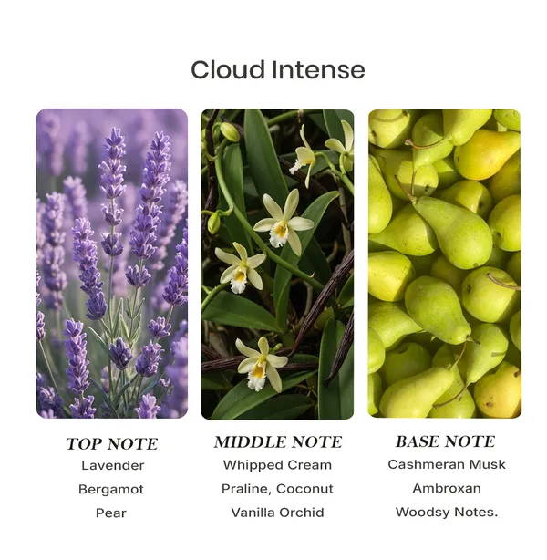 Parfumori_Cloud_Intense_Inspired_Perfume_50Ml_|_Sweet_Amber_Vanilla_Musky_Gourmand_Cloudy_Warm_|_Long_Lasting_Eau_De_Parfum
