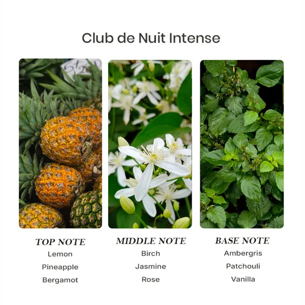 Parfumori_Club_De_Man_Intense_Inspired_Perfume_50Ml_|_Fresh_Citrus_Woody_Aromatic_Masculine_|_Long_Lasting_Eau_De_Parfum
