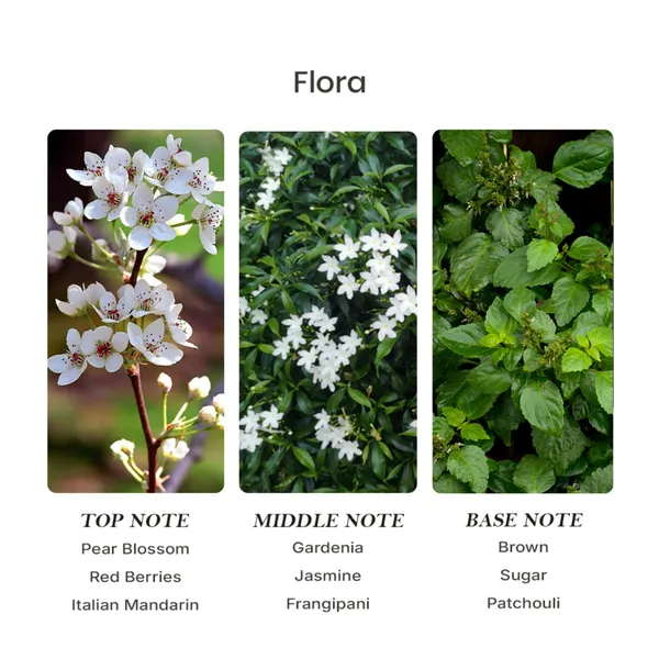 Parfumori_Flora_Inspired_Perfume_50Ml_|_Fresh_Floral_Sweet_Citrus_Musky_Elegant_|_Long_Lasting_Eau_De_Parfum
