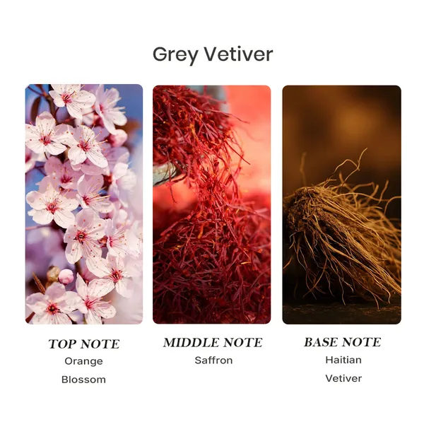 Parfumori_Grey_Vetiver_Inspired_Perfume_50Ml_|_Fresh_Citrus_Earthy_Woody_Aromatic_Elegant_|_Long_Lasting_Eau_De_Parfum