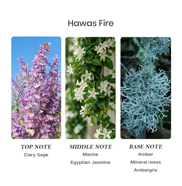 Parfumori_Hawas_Fire_Inspired_Perfume_50Ml_|_Fresh_Spicy_Aquatic_Fruity_Woody_Amber_|_Long_Lasting_Eau_De_Parfum