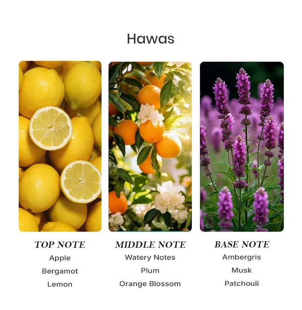 Parfumori_Hawas_Inspired_Perfume_50Ml_|_Fresh_Aquatic_Citrus_Spicy_Woody_Amber_|_Long_Lasting_Eau_De_Parfum