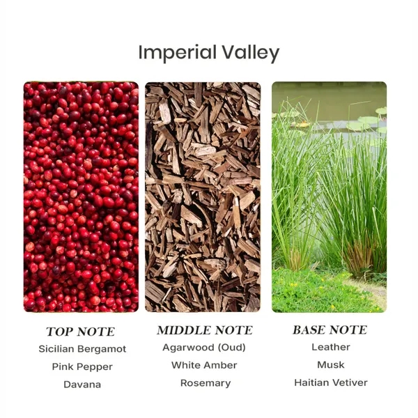 Parfumori_Imperial_Valley_Inspired_Perfume_50Ml_|_Fresh_Aromatic_Green_Citrus_Woody_Spicy_|_Long_Lasting_Eau_De_Parfum