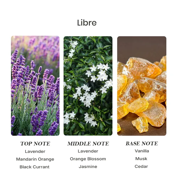 Parfumori_Libra_Inspired_Perfume_50Ml_|_Fresh_Floral_Sweet_Musky_Citrus_|_Long_Lasting_Eau_De_Parfum