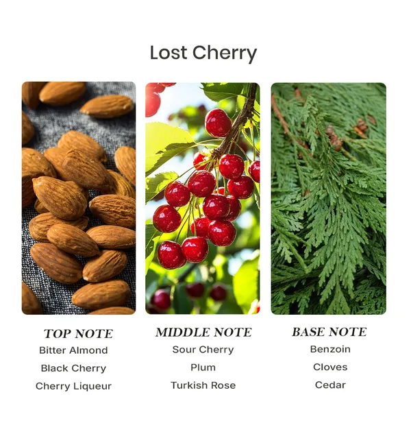 Parfumori_Lost_Cherry_Inspired_Perfume_50Ml_|_Sweet_Fruity_Cherry_Almond_Warm_Vanilla_|_Long_Lasting_Eau_De_Parfum