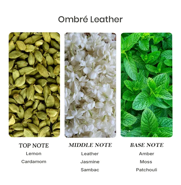 Parfumori_Ombre_Leather_Inspired_Perfume_50Ml_|_Rich_Leather_Smoky_Woody_Amber_|_Long_Lasting_Eau_De_Parfum